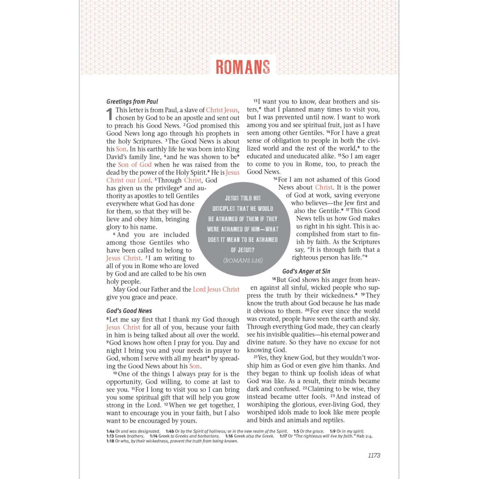 Jesus-Centered Bible NLT, Turquoise