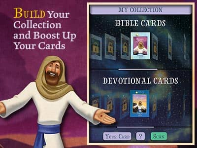 cards cards