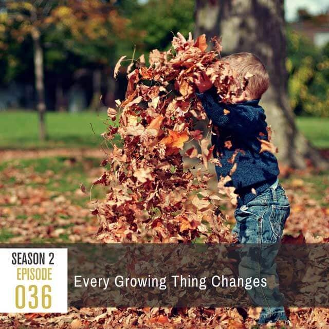 podcast-every-growing-thing-changes-post-2