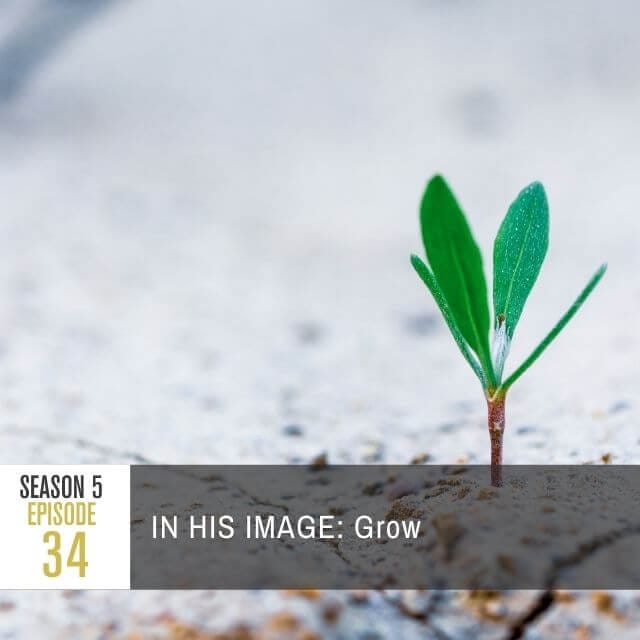 pratj-season-5-ep-34-image-web